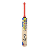English Willow Cricket Bat - Beast Pro Players