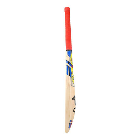English Willow Cricket Bat - Beast Pro Players
