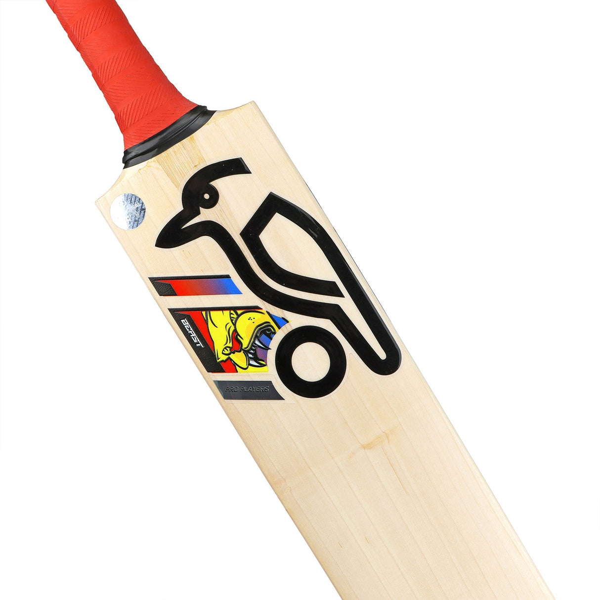 English Willow Cricket Bat - Beast Pro Players