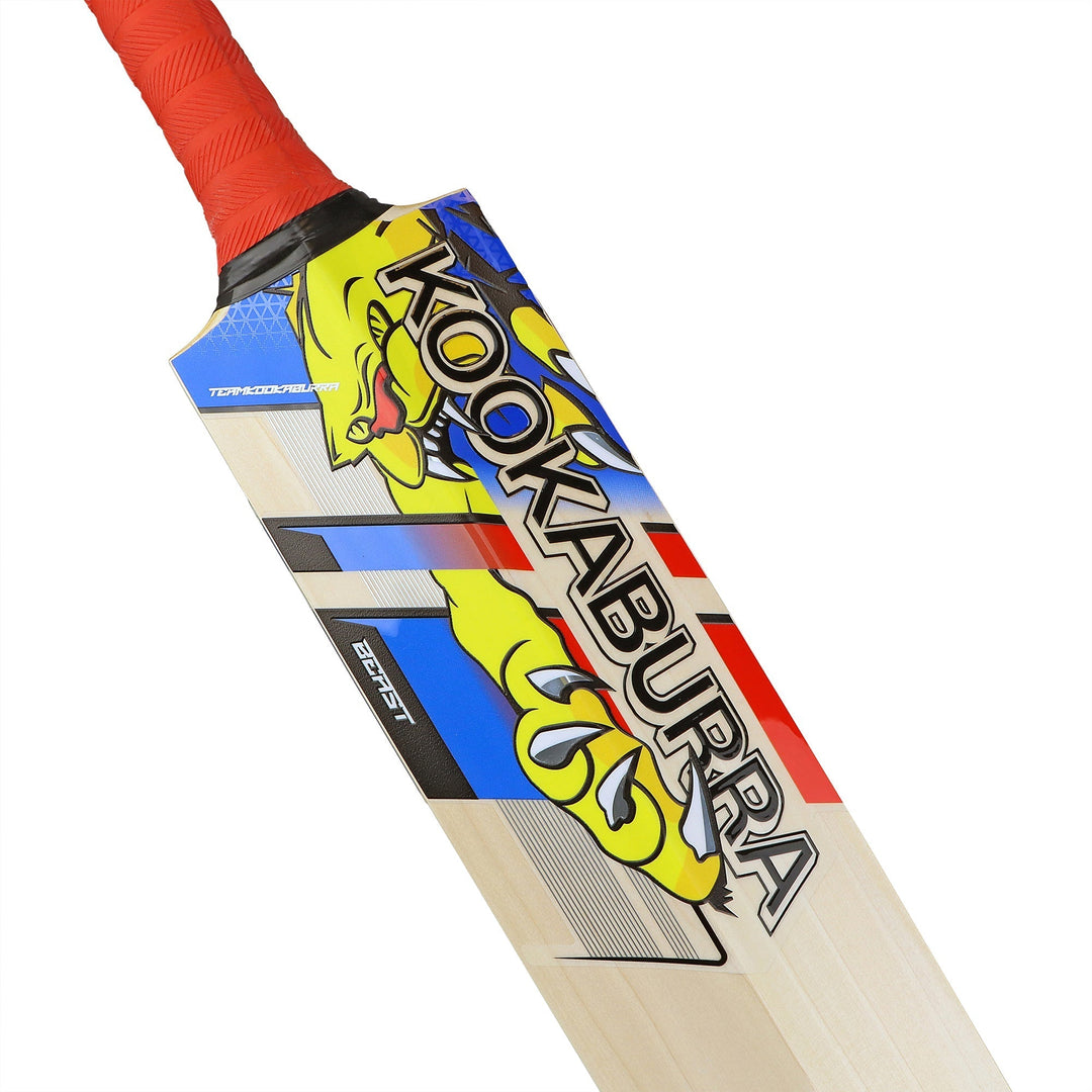 English Willow Cricket Bat - Beast Pro 2.0