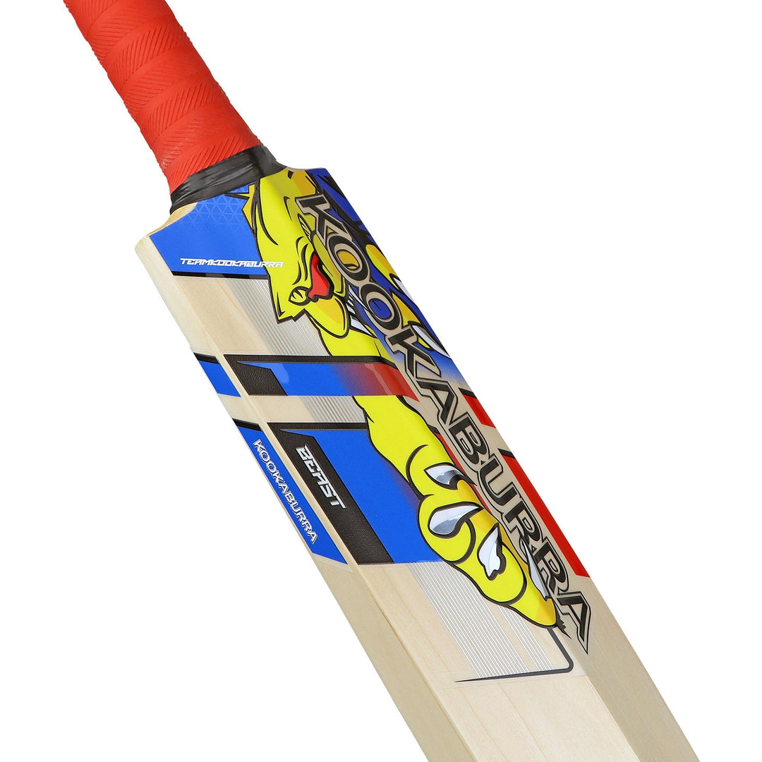 English Willow Cricket Bat - Beast Pro 2.0