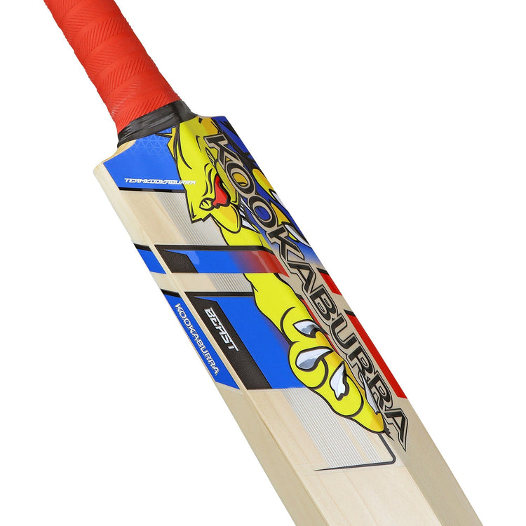 English Willow Cricket Bat - Beast Pro 2.0