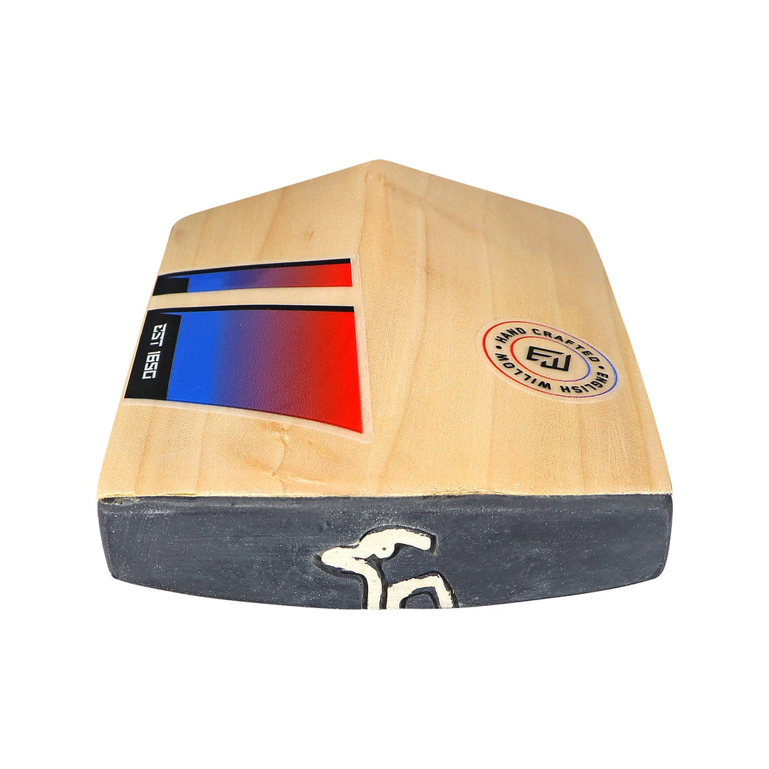 English Willow Cricket Bat - Beast Pro 2.0