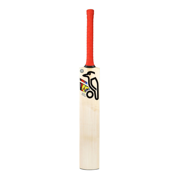 English Willow Cricket Bat - Beast Pro 2.0