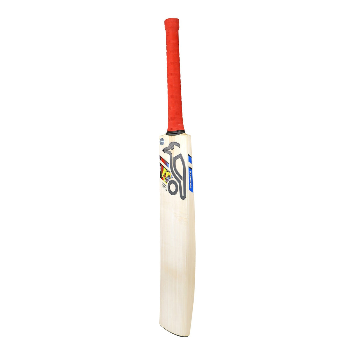 English Willow Cricket Bat - Beast Pro 2.0