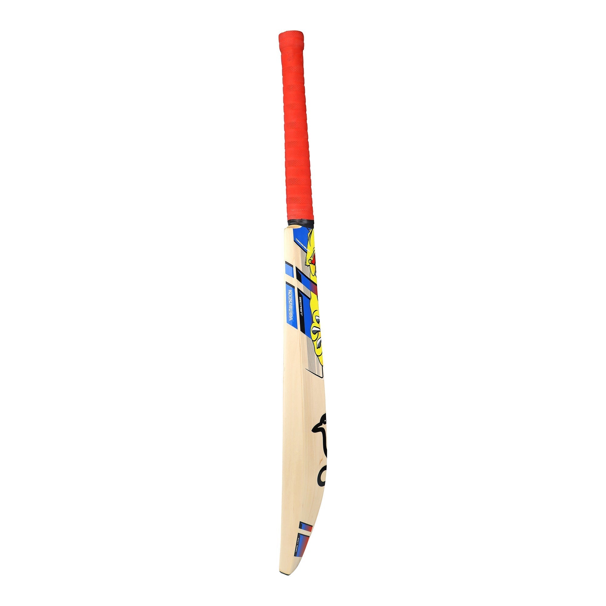 English Willow Cricket Bat - Beast Pro 2.0