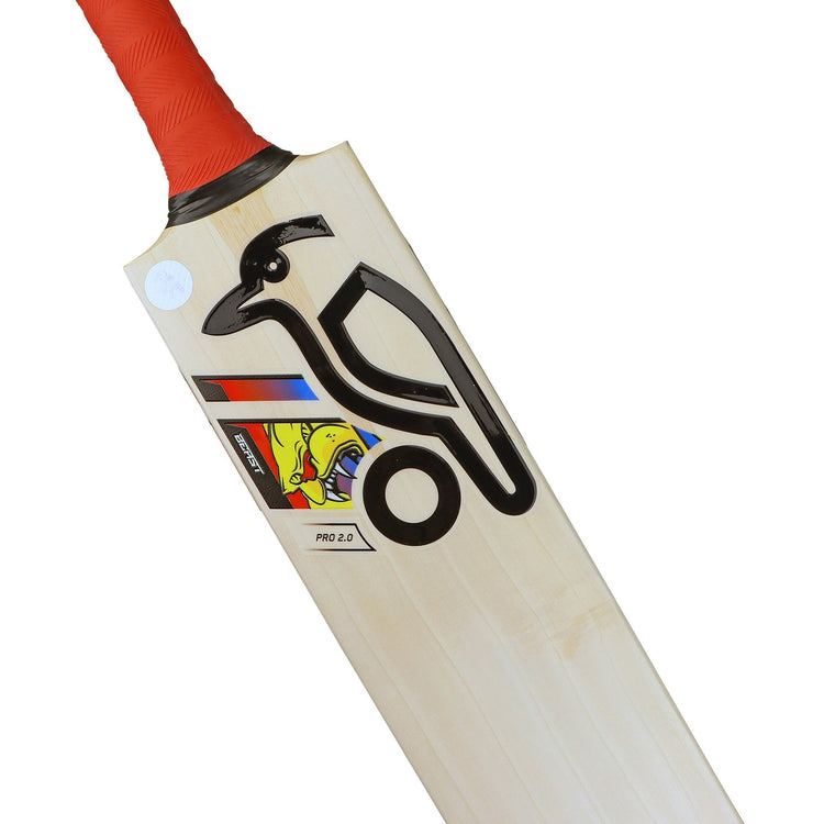 English Willow Cricket Bat - Beast Pro 2.0