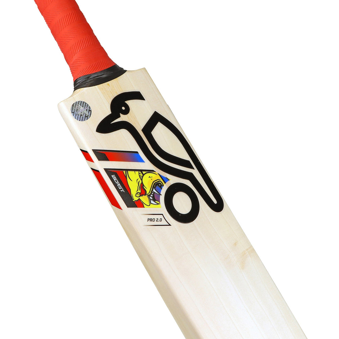 English Willow Cricket Bat - Beast Pro 2.0