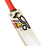 English Willow Cricket Bat - Beast Pro 2.0