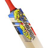 English Willow Cricket Bat - Beast Pro 4.0