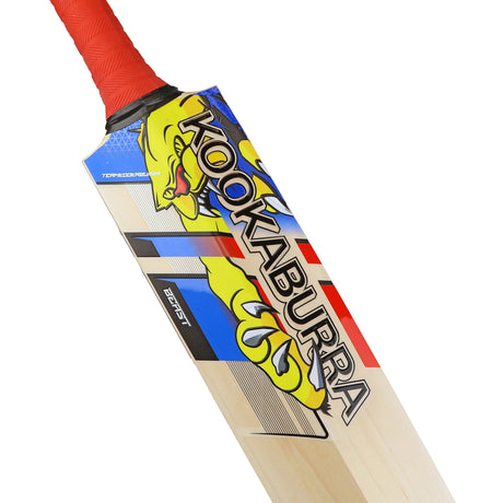 English Willow Cricket Bat - Beast Pro 4.0