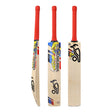 English Willow Cricket Bat - Beast Pro 4.0