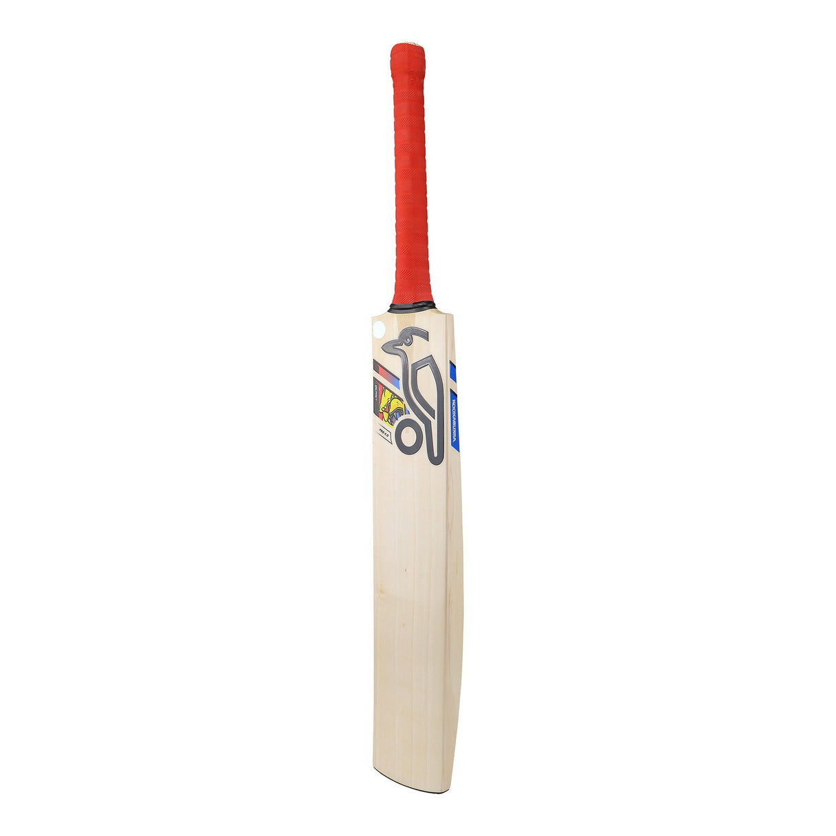 English Willow Cricket Bat - Beast Pro 4.0