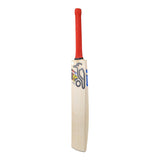 English Willow Cricket Bat - Beast Pro 4.0