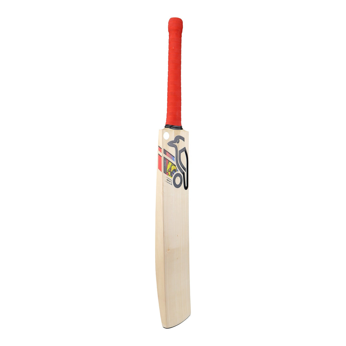 English Willow Cricket Bat - Beast Pro 4.0