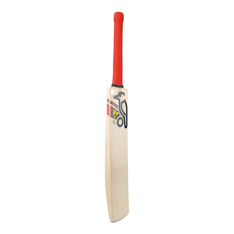 English Willow Cricket Bat - Beast Pro 4.0