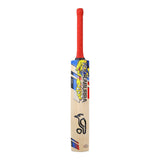 English Willow Cricket Bat - Beast Pro 4.0