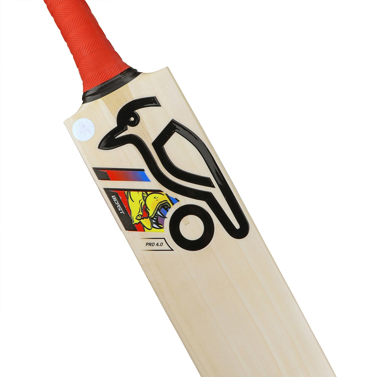 English Willow Cricket Bat - Beast Pro 4.0
