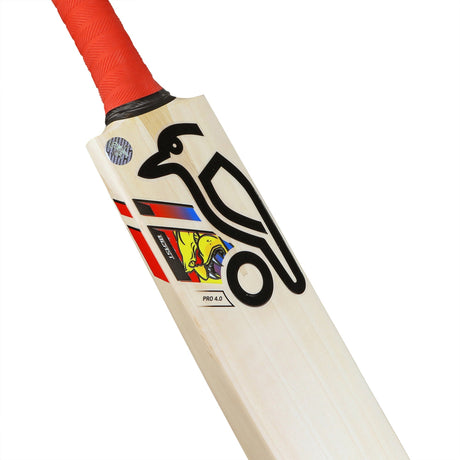 English Willow Cricket Bat - Beast Pro 4.0