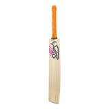 Kashmir Willow Cricket Bat - Aura Pro 8.0