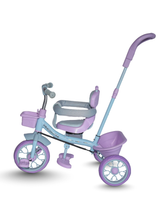 Tricycle With Harness