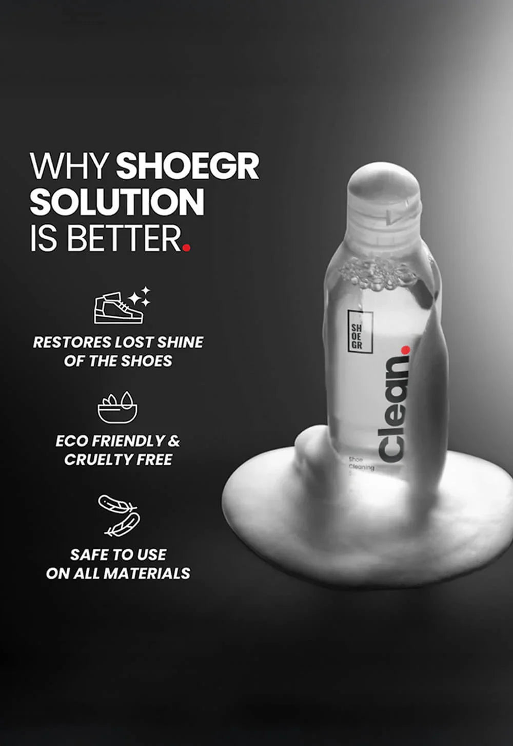 Standard Shoe Cleaning Kit
