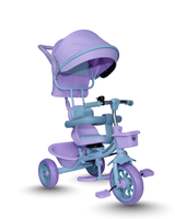 Tricycle With Canopy