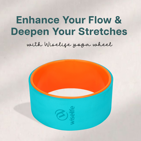 Classic Yoga Wheel Set of 5 | Wiselife