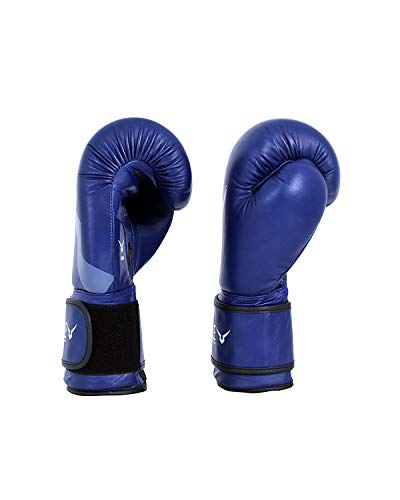 Invincible Extreme Competition Boxing Gloves Approved by IABF | K.L. Mahajan & Sons (Invincible)