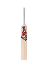360 Bold Kashmir Willow