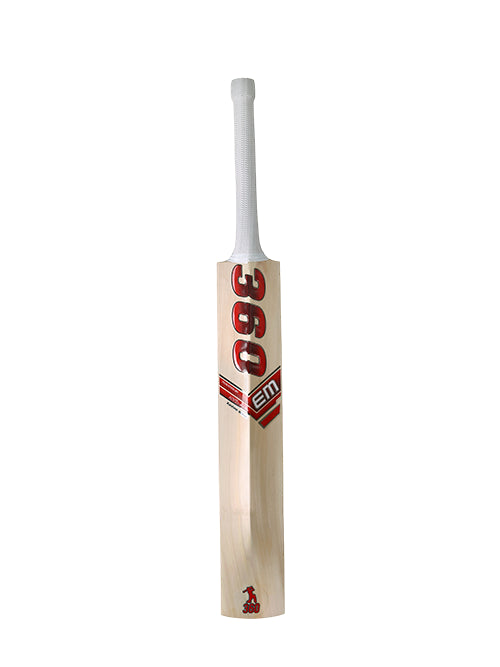 360 Bold Kashmir Willow