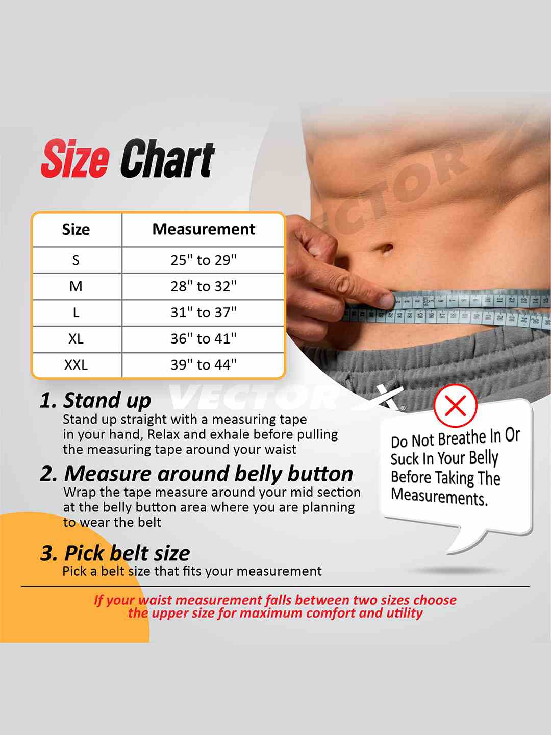 Vector X GB-30 Weight Lifting Gym Excercise belt