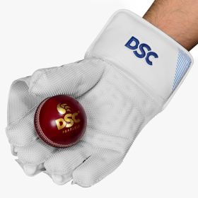 Intense Shoc Wicket Keeping Gloves