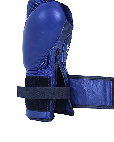 Invincible Extreme Competition Boxing Gloves Approved by IABF | K.L. Mahajan & Sons (Invincible)