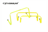 FLAT HURDLE