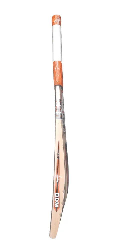 Kashmir Willow Cricket Bat