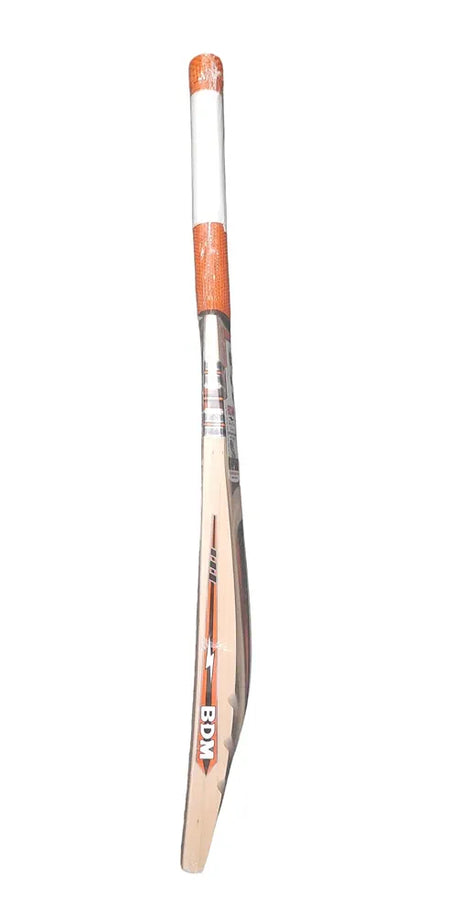 Kashmir Willow Cricket Bat