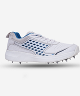 Premium spikes cricket shoes