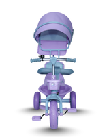 Tricycle With Canopy