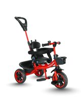 Tricycle With Harness