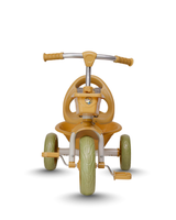 Tricycle