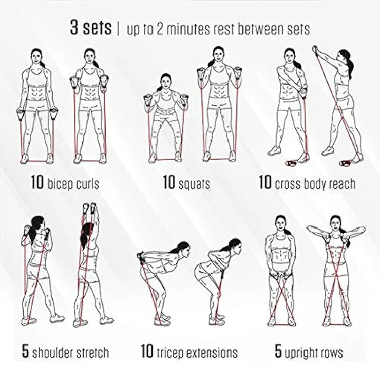 Cougar Toning Tube, Toning Tube for Exercise, Resistance Band Set with Handles, Single Toning Resistance Tube Heavy Quality, All Purpose Fitness Tube for Home and Gym Prime 