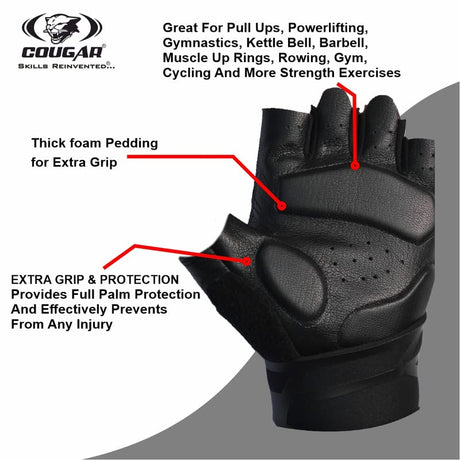Titan Gym Gloves