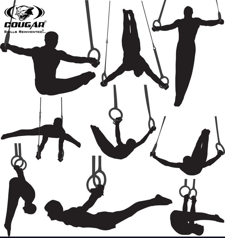 Suspension  Rings