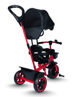 Tricycle With Canopy