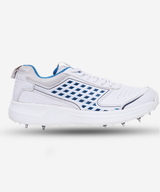 Premium spikes cricket shoes