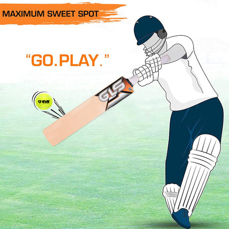 GLS Practice Himachal Willow Tennis Bat | Greenland Enterprises (Gls Sports)