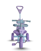 Tricycle With Harness