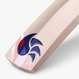 LeedZ English Willow Bat (Made in England)