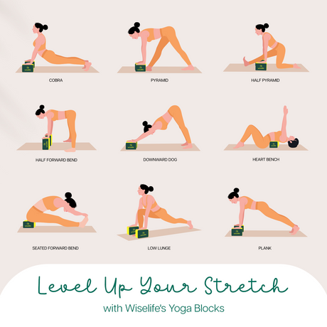 Pro Yoga Blocks Set of 10 | Wiselife